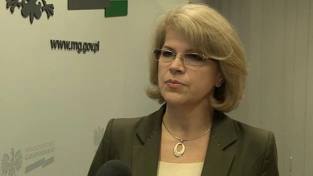 Grażyna Henclewska, wiceminister gospodarki