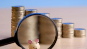 OFE to anachroniczny system przedpłat?