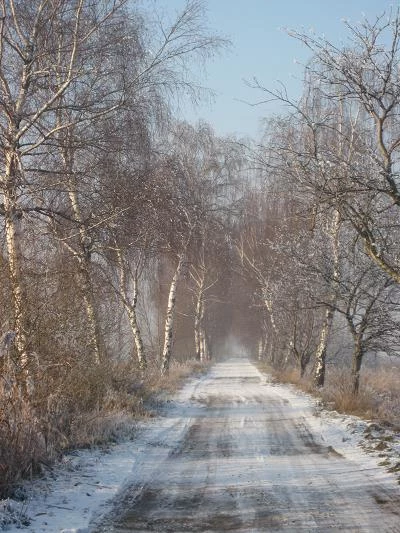 Przeciszów, alejka wzdłuż stawów