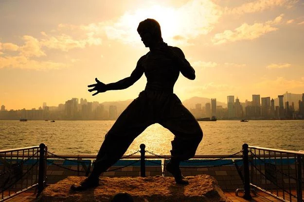Ile wart jest Bruce Lee?