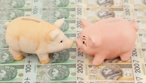 Zabranie środków OFE pomoglo na chwilę