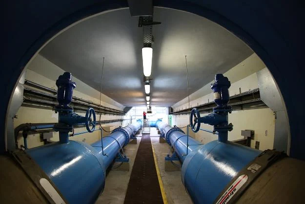 Gruba Kaśka ma już 50 lat Gruba Kaśka ma już 50 lat