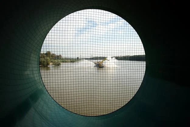 Gruba Kaśka ma już 50 lat Gruba Kaśka ma już 50 lat