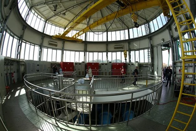 Gruba Kaśka ma już 50 lat Gruba Kaśka ma już 50 lat