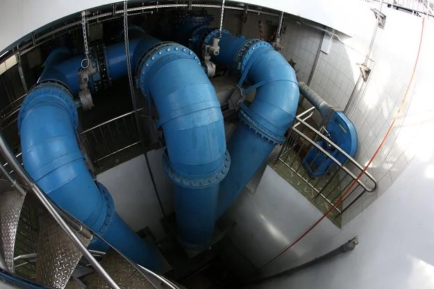 Gruba Kaśka ma już 50 lat Gruba Kaśka ma już 50 lat