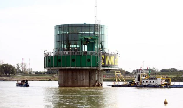 Gruba Kaśka ma już 50 lat Gruba Kaśka ma już 50 lat