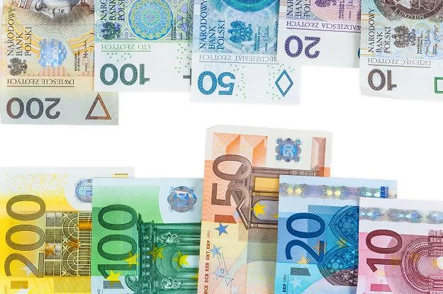 68 proc. respondentów przeciwko wprowadzeniu w Polsce euro