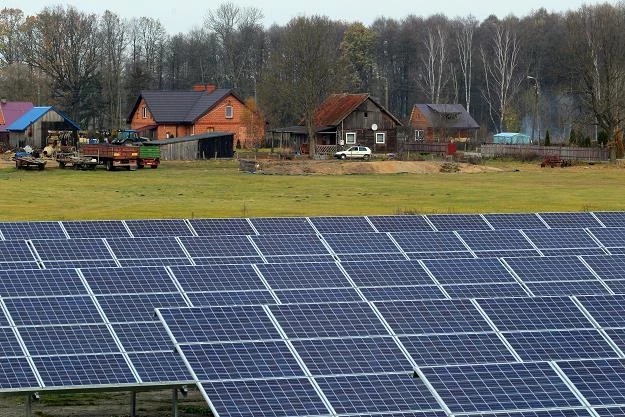 Farma fotowoltaiczna w Wesołówku koło Wielbarka