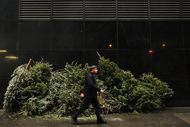 Białoruskie lasy znowu są pod specjalnym nadzorem służb porządkowych