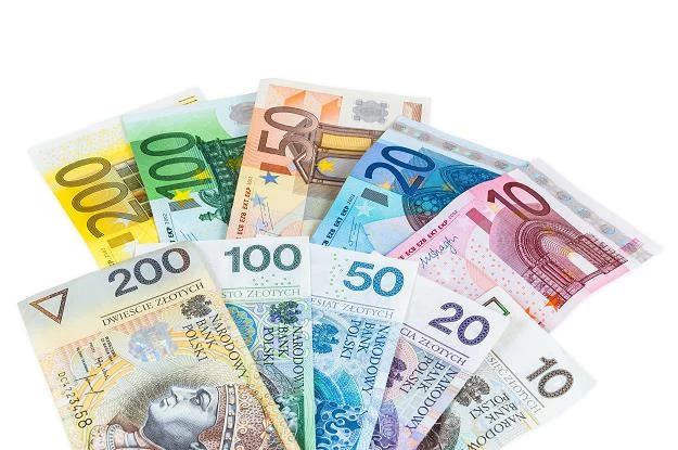 49 proc. badanych przez TNS Polska uważa, że Polska powinna przyjąć euro