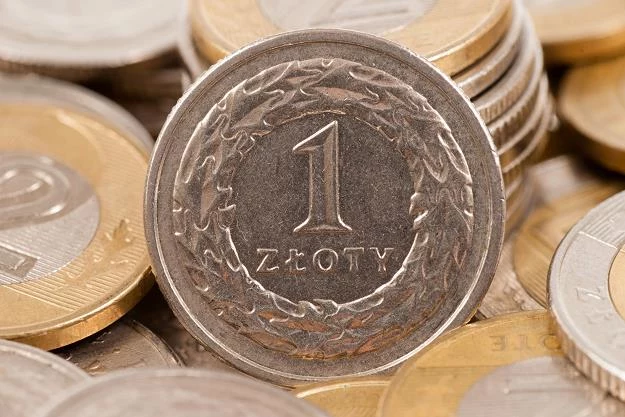 Złoty będzie się osłabiać