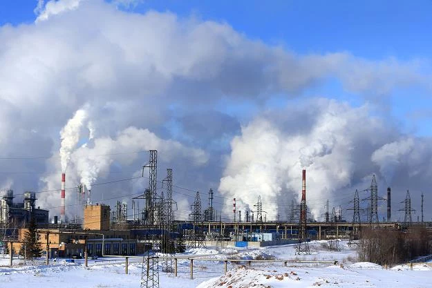 Dynamika produkcji przemysłowej jest najwyższa od 5 lat