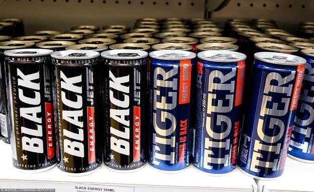 Black i Tiger. Fot. Andrzej Stawiński Black i Tiger. Fot. Andrzej Stawiński