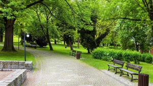 Ilość dużych terenów zielonych w polskich aglomeracjach spada