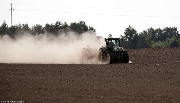 Susza w rolnictwie przybrała katastrofalne rozmiary. Fot. Michał Kosc AGENCJA WSCHÓD