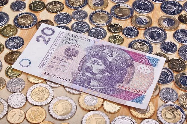 Złoty jest niedowartościowany do euro Złoty jest niedowartościowany do euro