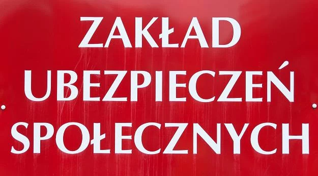 Byłe kierownictwo ZUS jest podejrzewane przez CBA. Fot. Łuaksz Grudniewski