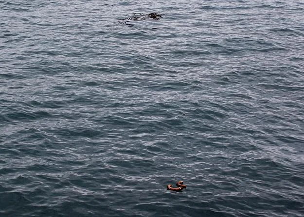 Na dnie Atlantyku mamy działkę Na dnie Atlantyku mamy działkę