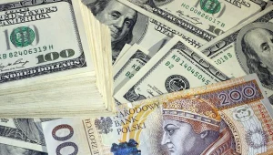 Pomoc frankowiczom i skok na OFE uderzą w złotego