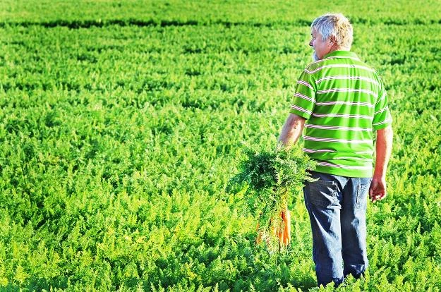 Polscy rolnicy otrzymali prawie 10 mld zł