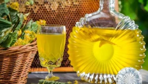 Miodosytnictwo ma przeszło 1000-letnią tradycję w Polsce