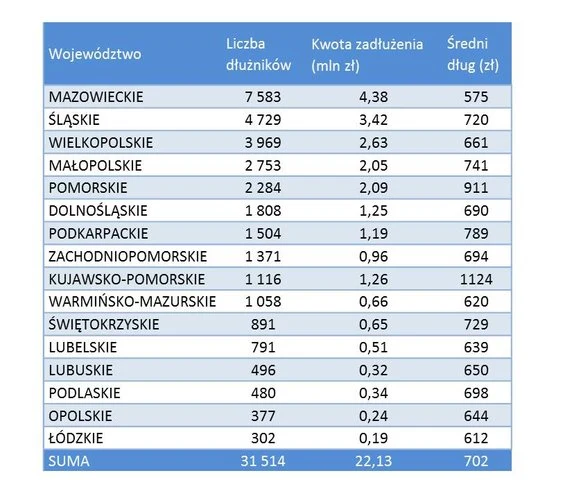 Źródło: BIG InfoMonitor