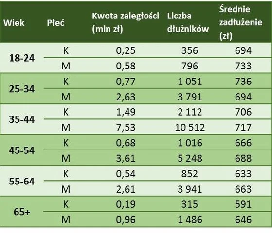Źródło: BIG InfoMonitor