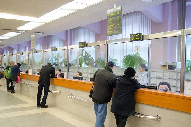 Zdjęcie ilustracyjne /fot. Krzysztof Kaniewski