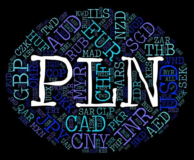 Polski startup właśnie kończy pracę nad prototypem kryptozłotówki