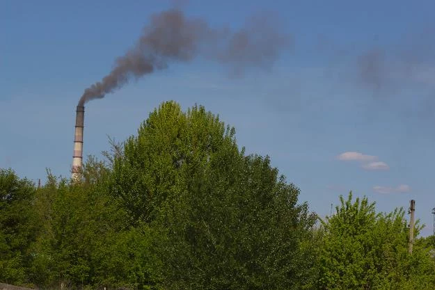 Rząd: Zwolnienie z akcyzy nie dla "trucicieli"