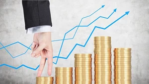 Minister finansów powołał Rada do Spraw Przeciwdziałania Unikaniu Opodatkowania