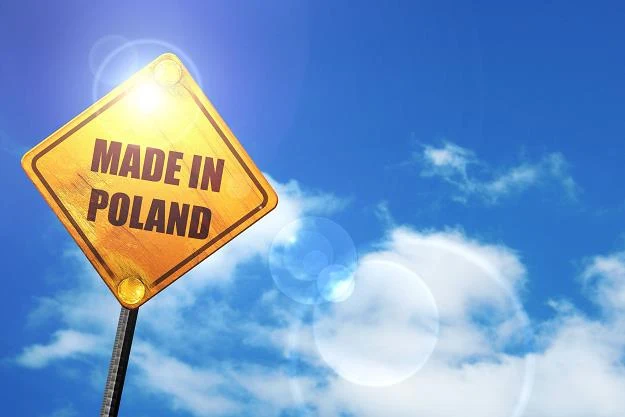 Polskie firmy ruszyły na podbój świata