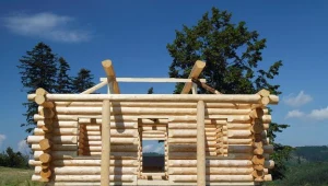 Domy drewniane nie są droższe od murowanych?