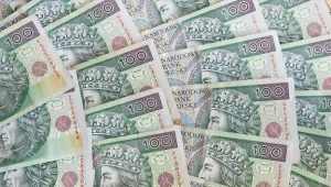 W ubiegłym roku limit wpłat na IKZE wynosił 5115,60 zł