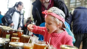 Polska jest sporym producentem miodu. Fot. KRZYSZTOF KAPICA Polska Press