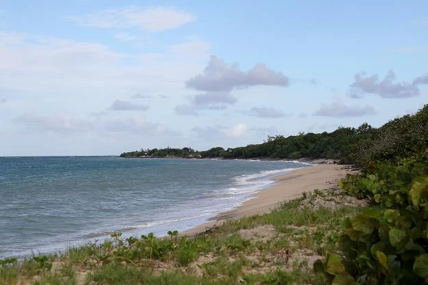 St Kitts i Nevis. Fot. Chris Jackson
