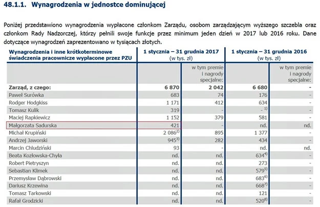 Raport roczny PZU