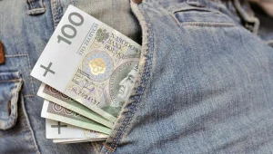 PPK rozwiążą problem niskich emerytur Polaków?