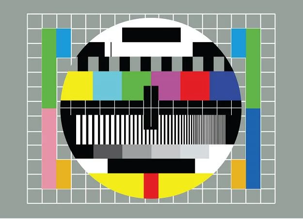 Dostęp do TVP tylko dla chętnych? Byłoby to najlepsze rozwiązanie