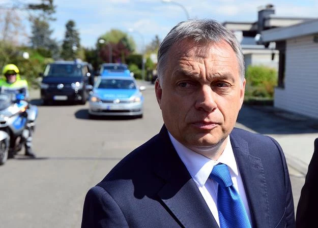 Viktor Orban, premier rządu Węgier. Fot. Thomas Lohnes
