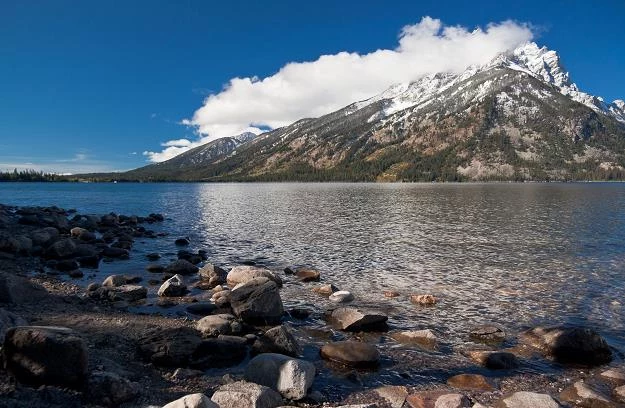 Stan Wyoming to amerykański raj korporacyjny (nz. Park Narodowy Grand Teton)