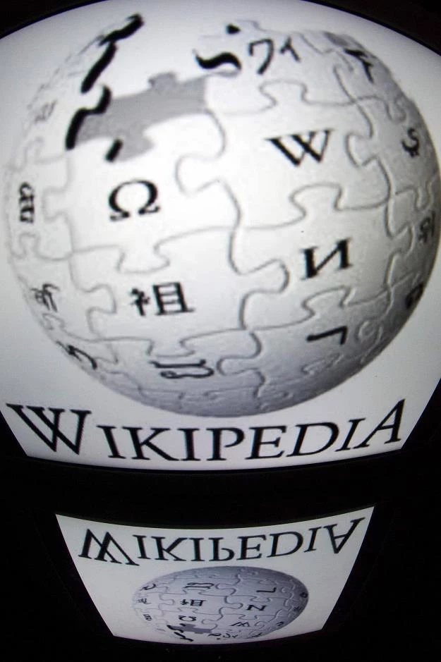 Doskonały rok dla Wikipedii