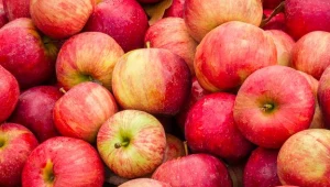 Ten eksport rośnie Polsce jak na drożdżach...