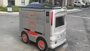 Roboty należą do sklepu internetowego JD. Fot. x-news