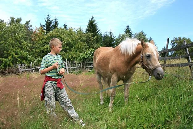Zrealizuj swoje marzenie o biznesie w turystyce Zrealizuj swoje marzenie o biznesie w turystyce