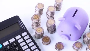 W nowym roku wejdzie w życie ustawa o Pracowniczych Planach Kapitałowych