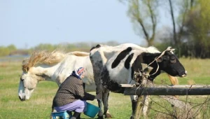 Podstawa wymiaru składki zdrowotnej przedsiębiorcy - wyrok TK