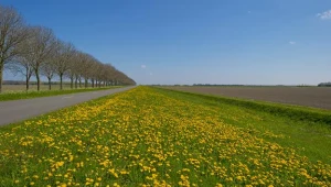 Czy zbycie nieruchomości rolnej będzie łatwiejsze?