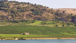 Lago Arancio - zbiornik retencyjny w zachodniej Sycylii