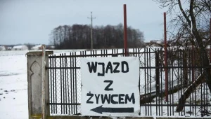 Przez chytrość traci cale polskie rolnictwo...